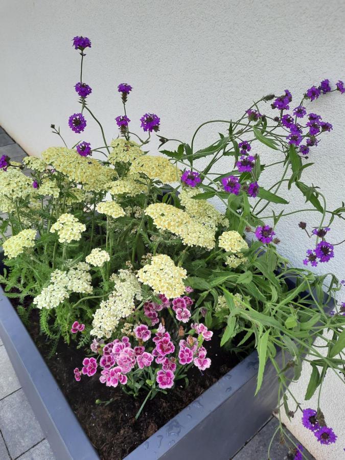 Apartments Bei Playmobil Eg,130M2,Grosse Terassen,24H Self Check-In, Free Parking Zirndorf Exterior foto